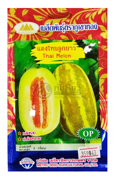 แตงไทยลูกยาว ภูเขาทองOP