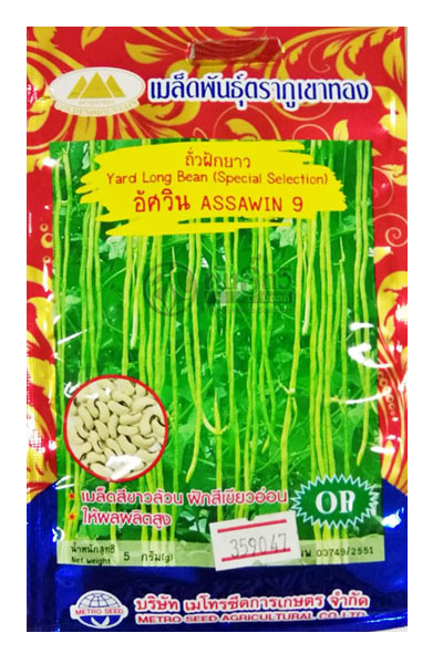 อัศวิน9 ภูเขาทองOP*10