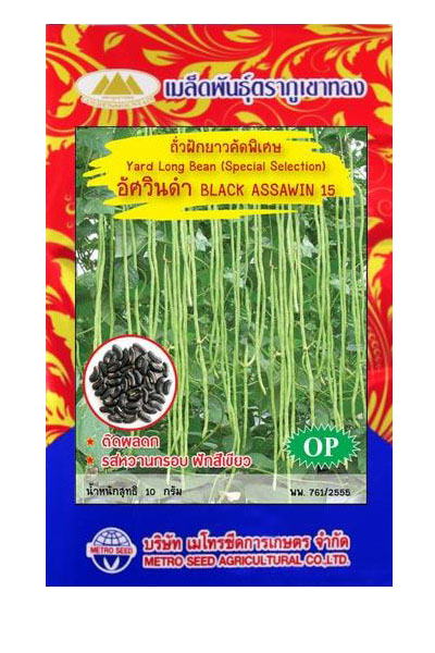 อัศวิน15 ภูเขาทองOP*10