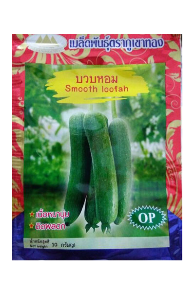 บวบหอม ภูเขาทองOP