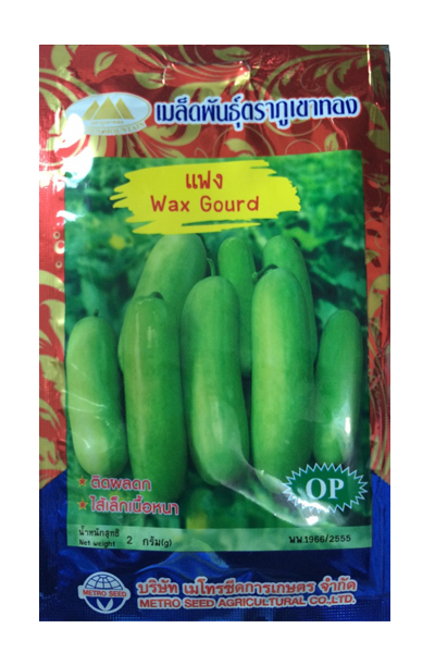 แฟง ภูเขาทองOP