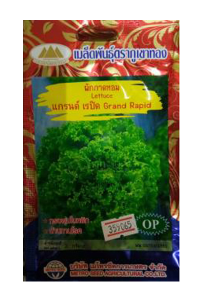 แกรนด์ เรปิด ภูเขาทองOP*10