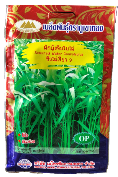 ทิวไผ่เรียว9 ภูเขาทองOP*10