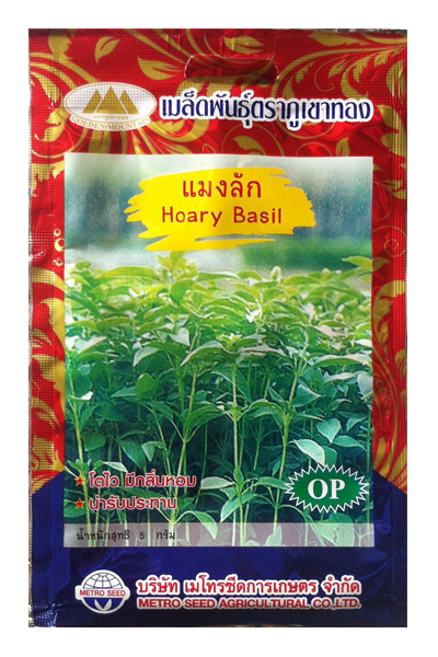 แมงลัก ภูเขาทองOP*10