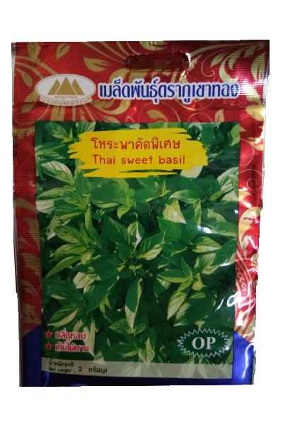 โหระพา ภูเขาทองOP*10