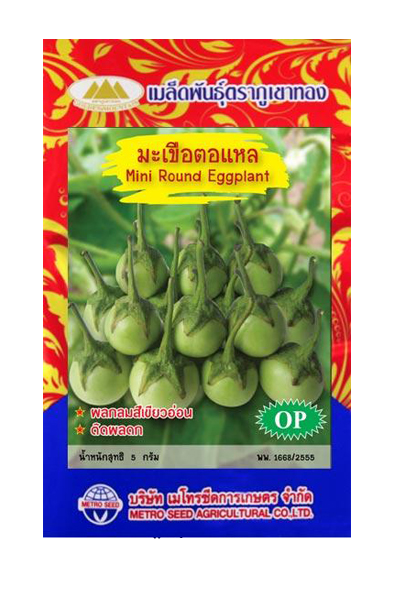 มะเขือตอแหล ภูเขาทองOP*10