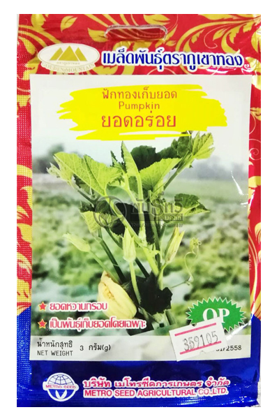 ฟักทองเก็บยอด ภูเขาทองOP*10