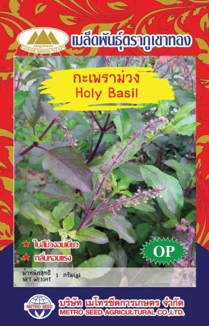 กะเพราม่วง ภูเขาทองOP*10