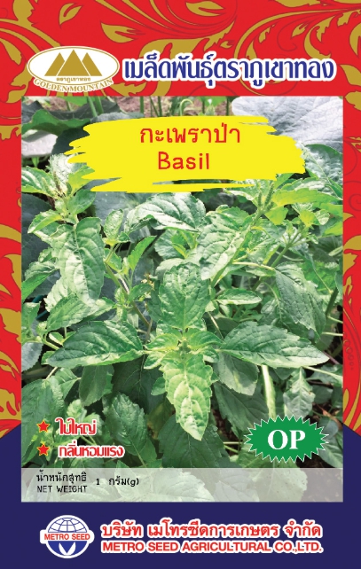 กะเพราป่า ภูเขาทองOP*10