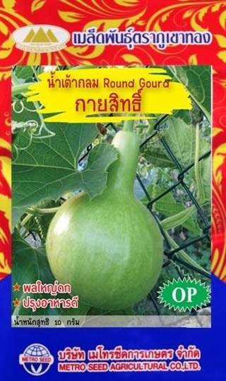 น้ำเต้ากายสิทธิ์ ภูเขาทองOP*10