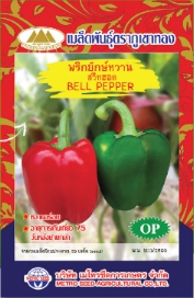 พริกยักษ์หวานสวีทฮอต ภูเขาทองOP*10