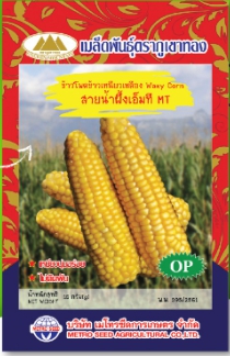 สายน้ำผึ้ง ภูเขาทองOP*10