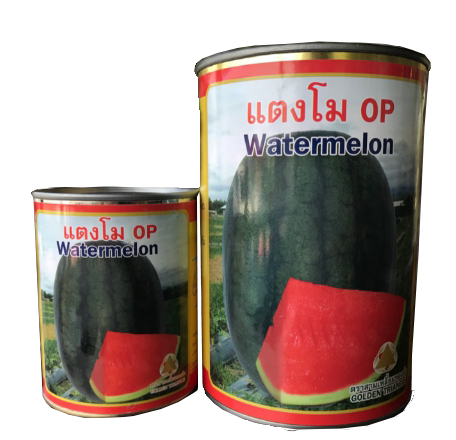 แตงโม OP สามเหลี่ยมทองคำ250G*40
