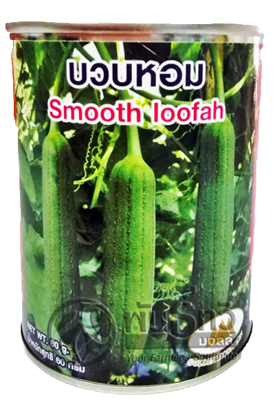 บวบหอม ภูเขาข3 60G*90