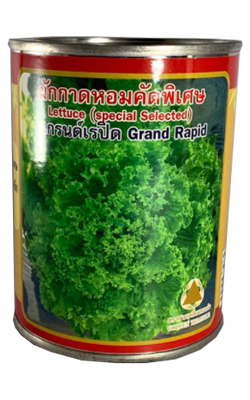 สลัด ข2สามเหลี่ยมทองคำ50G*90