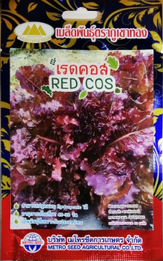 เรดคอส ภูเขาทองLT*10