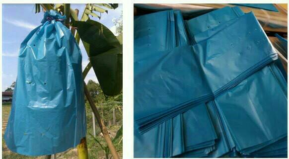 ถุงห่อกล้วยฟ้านกเงือกHD-PE*30