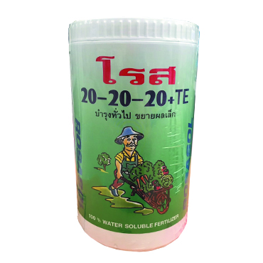 20-20-201KGโรส*24