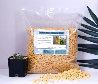 ดินญี่ปุ่น คานูมะ M1L