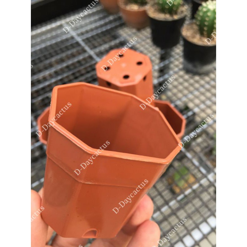 กถ.ทรงแปดเหลี่ยมอิฐ 3"*300