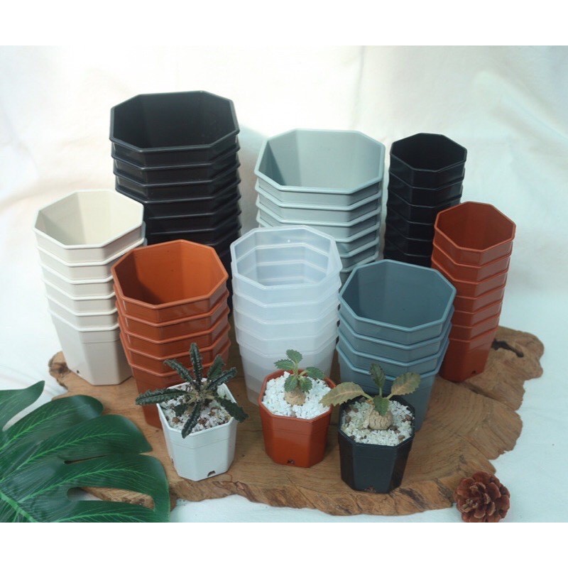 กถ.ทรงเหลี่ยมคละสี2"*500