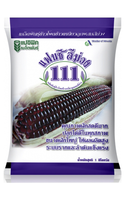 111 แฟนซีม่วง1KG*10