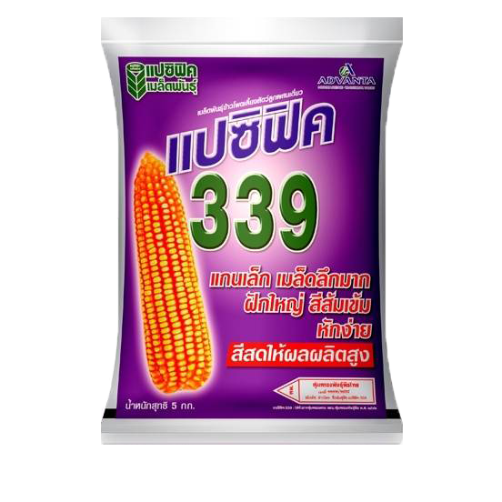 339แปซิฟิค5KG*4