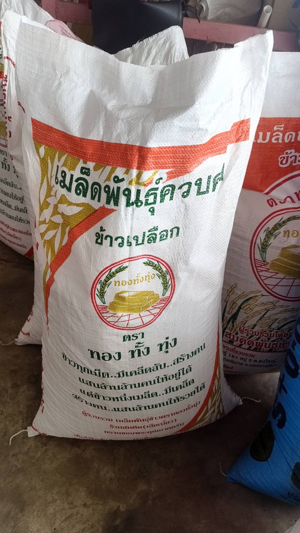 25/KGมะลิ105สมคิดพันธุ์ข้าว(เจ้า)