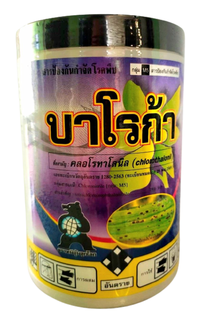 บาโรก้าหมีอุ้มโลก100CC*24