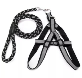 เชือกจูงหมาใหญ่คละสี5735-41