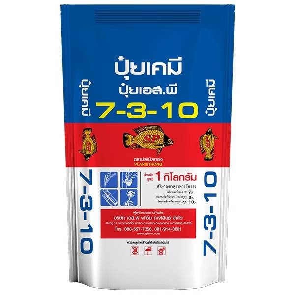 7-3-10ปลานิลทอง1KG