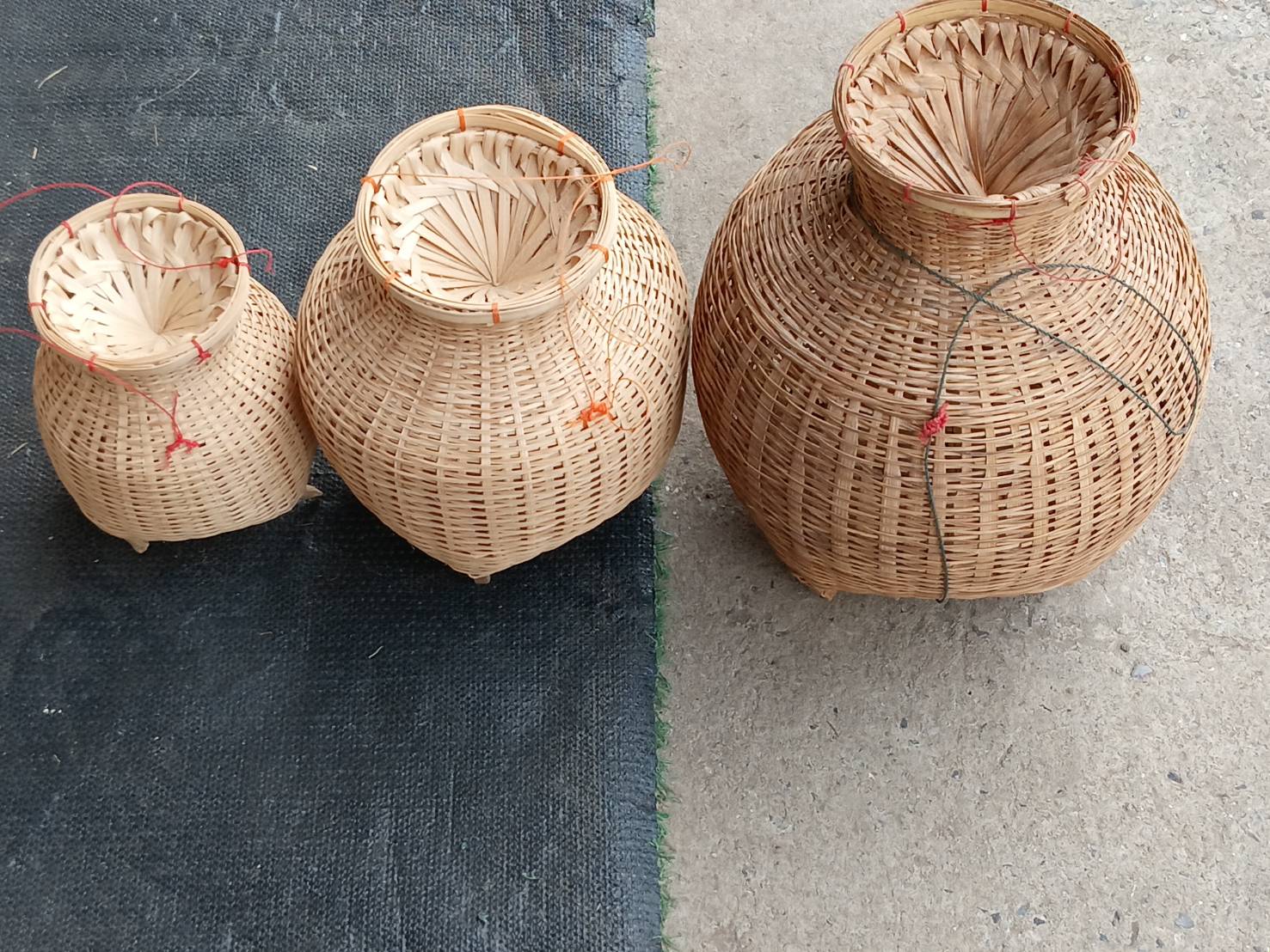 ข้องใส่ปลากลาง