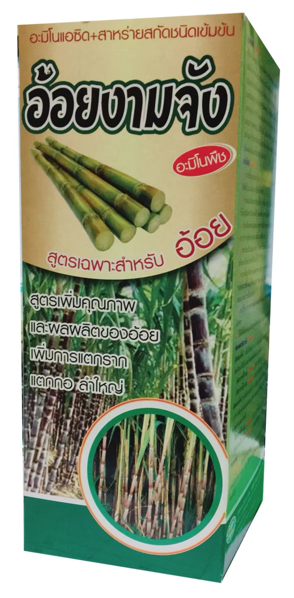 อ้อยงามจัง 1L*12