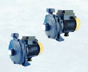 ป.TORQUE1"0.5HP TQ50S