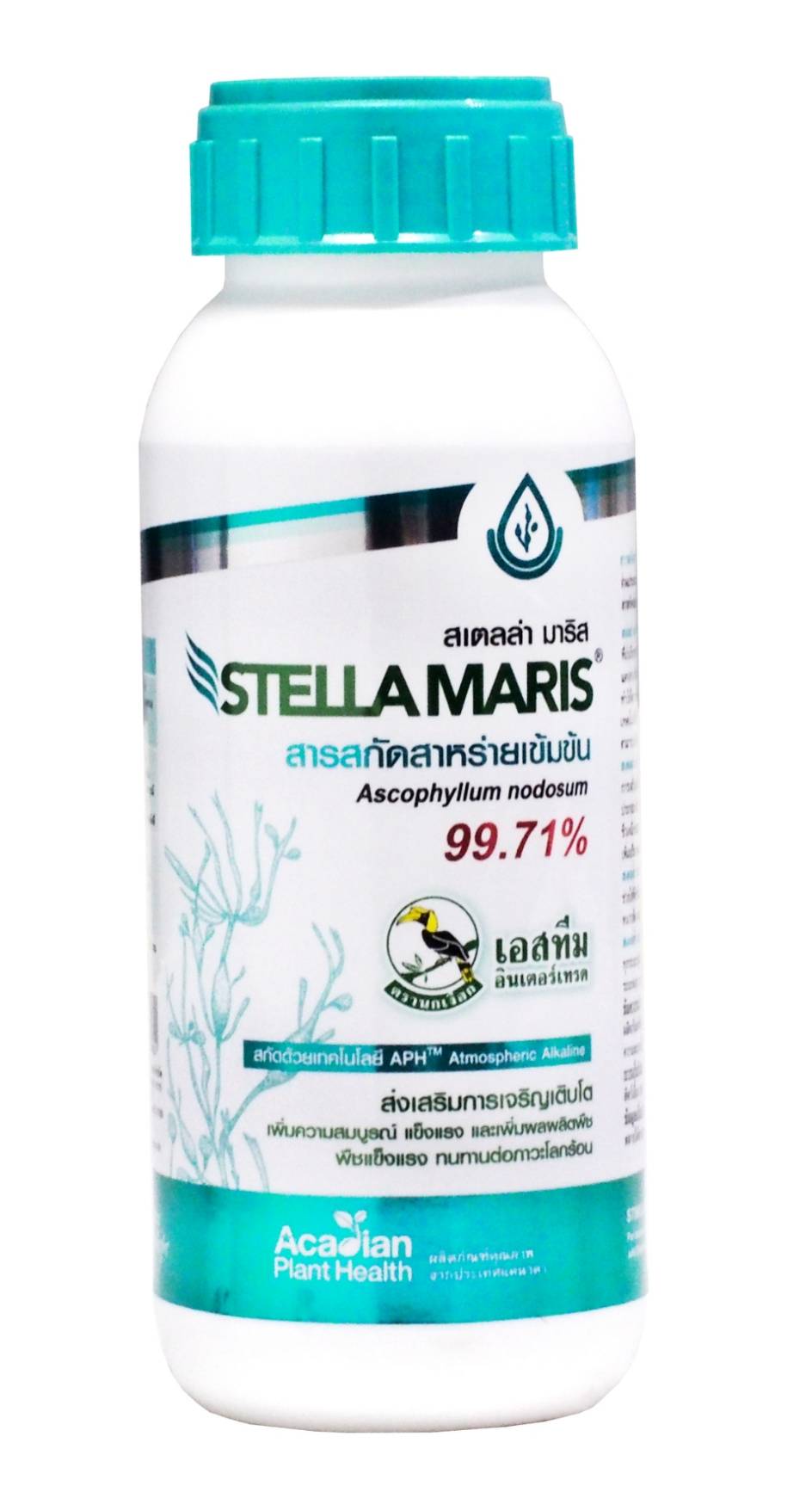 สเตลล่า มาริส500CC*12