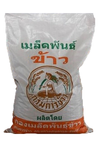 25/KGกข.6ศูนย์พันธุ์ขยาย (เหนียว)