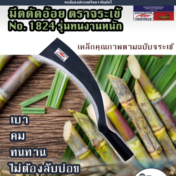 มีดตัดอ้อยจระเข้*24