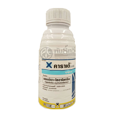 คาราเต้500CC*24