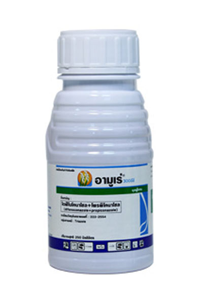 อามูเร่500CC*24