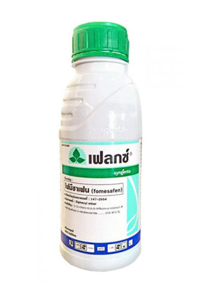 เฟลกซ์500CC*24