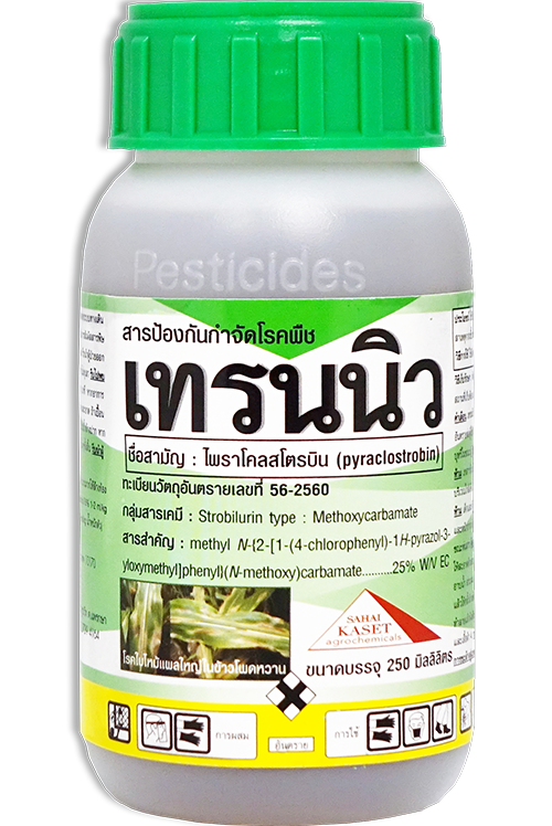 เทรนนิว500CC*20