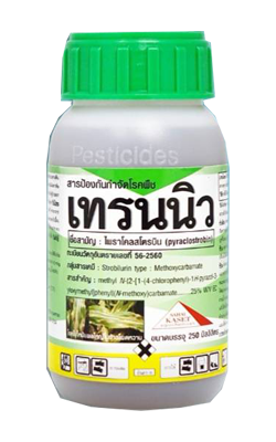 เทรนนิว100CC*40