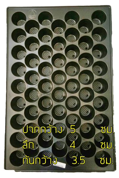 ถาดเพาะ60หลุมศรีสยาม*100