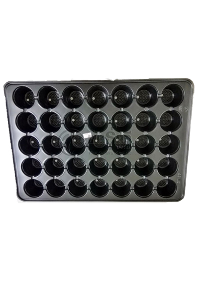 ถาดเพาะ35หลุม*100