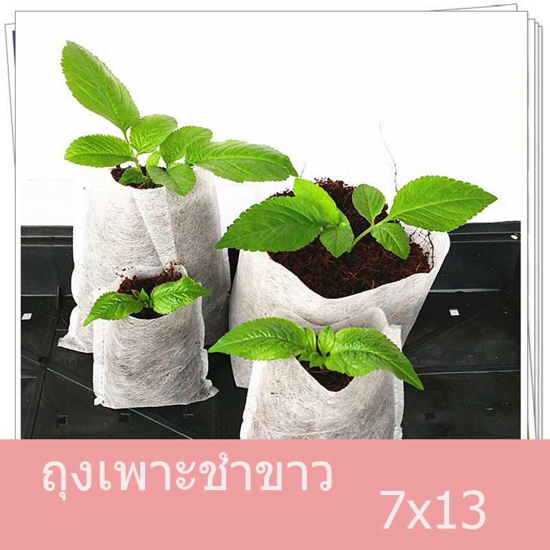 ถุงเพาะชำขาว 7x13"