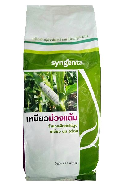 ม่วงแต้ม1KG*12