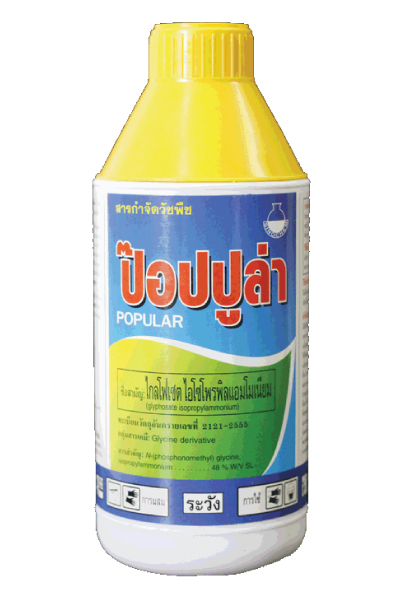 ป๊อปปูล่า1L*12