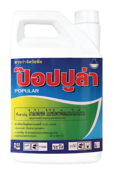 ป๊อปปูล่า4L*3