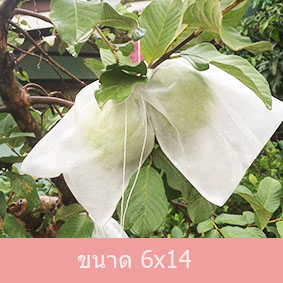 ถุงห่อฝรั่ง6X14"*10