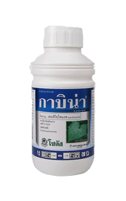 กาบิน่าโซตัส100CC*24